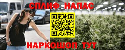 спиды Будённовск