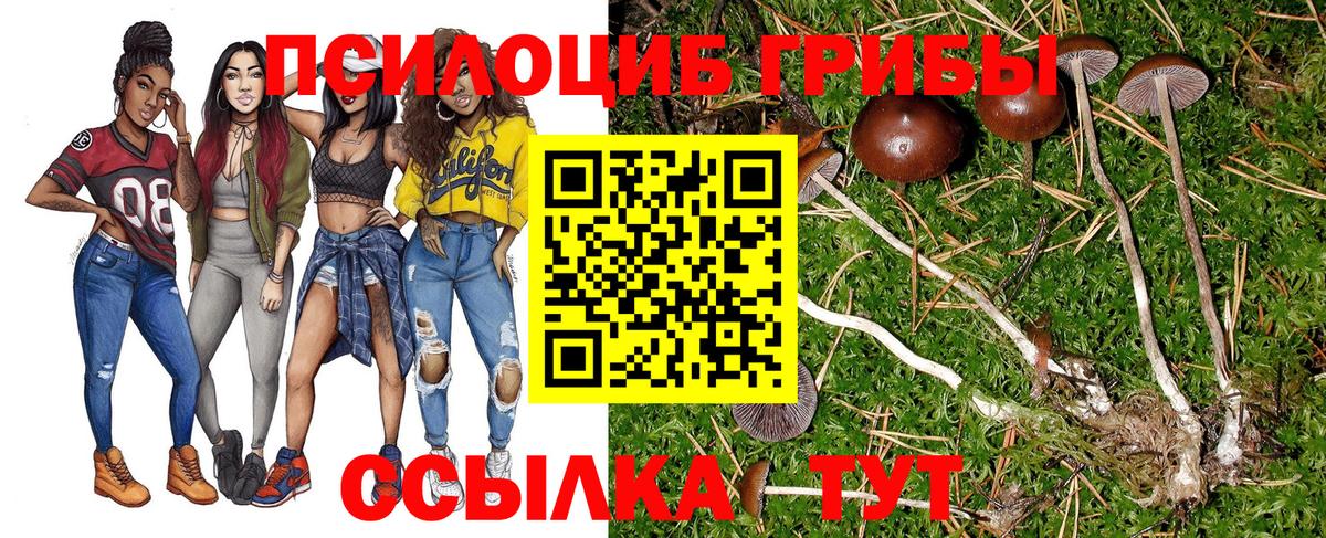Семёнов  Псилоцибиновые грибы Cubensis  Вход с VPN 